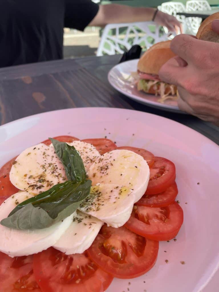 caprese sald on a white plate with basil and a drizzle of olive oil on top